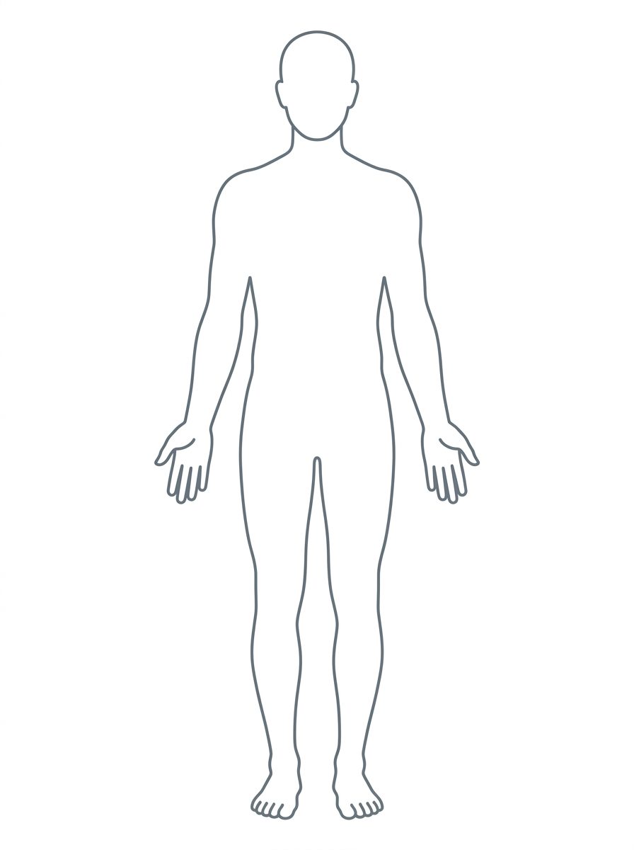 Silueta Anatómica Médica